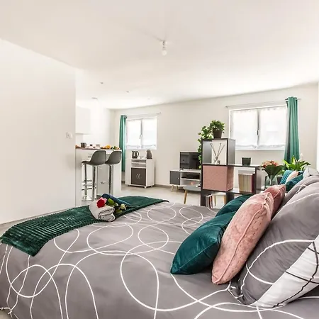 Apartment Studio Zen & Cozy Charles De Gaulle