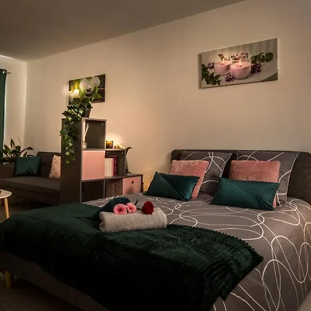 Apartment Studio Zen & Cozy Charles De Gaulle *