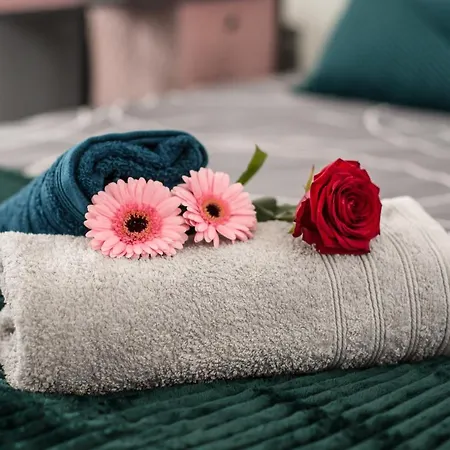 Studio Zen & Cozy Charles De Gaulle Roubaix